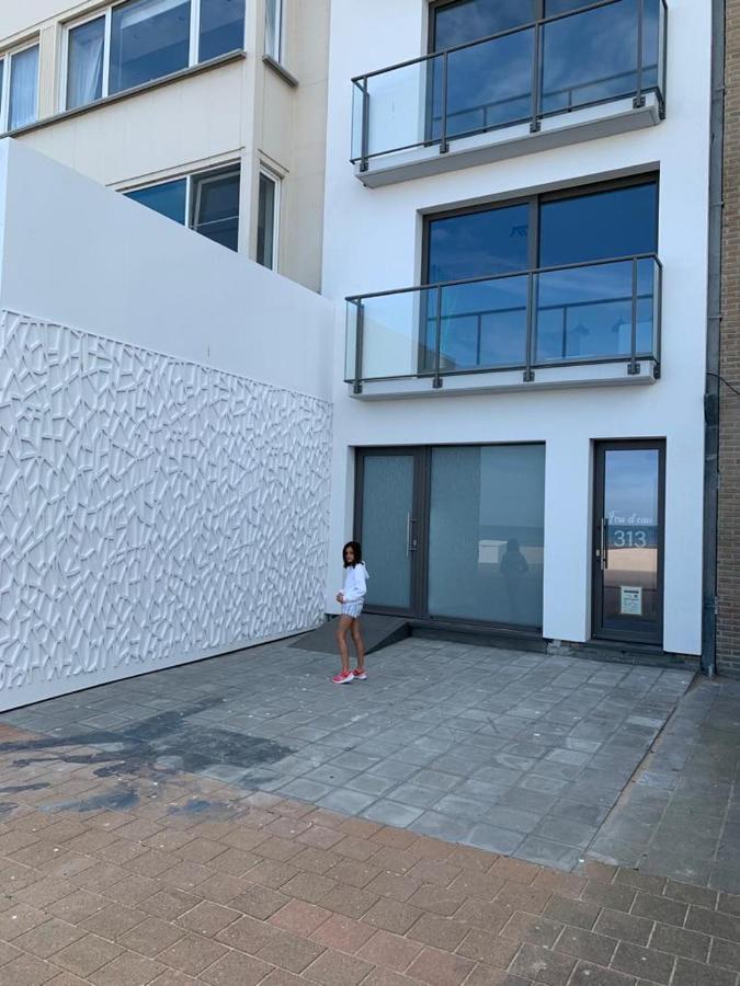 Fou D'Eau 5E Verdieping Etage Koksijde Luaran gambar